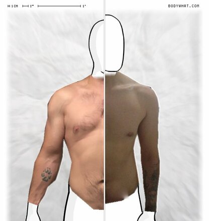 Torso Comparison