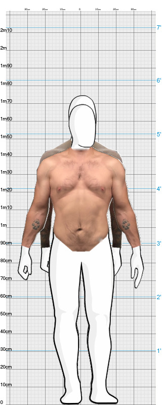 Full Size Comparison