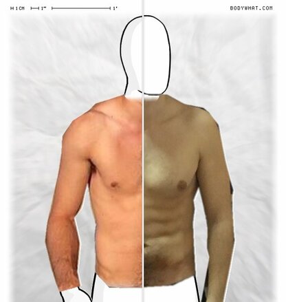 Torso Comparison