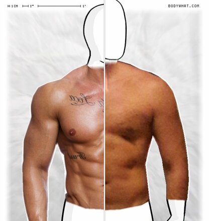 Torso Comparison
