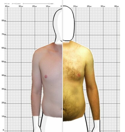 Torso Comparison