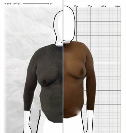 Torso Comparison