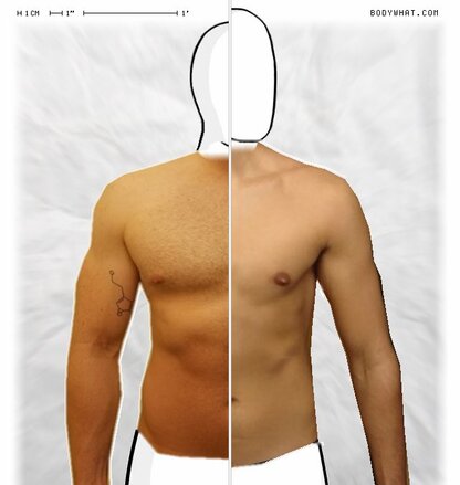 Torso Comparison