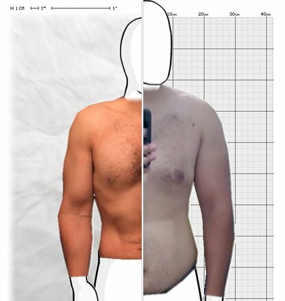 Torso Comparison