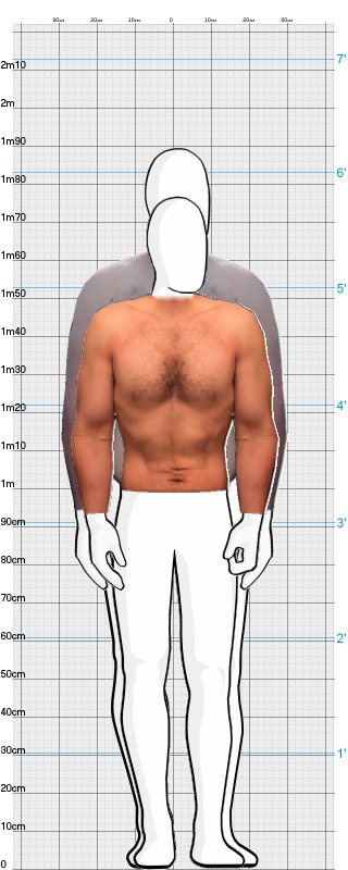 Full Size Comparison