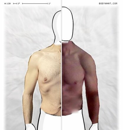 Torso Comparison