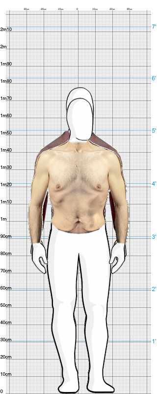 Full Size Comparison