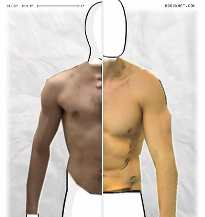 Torso Comparison