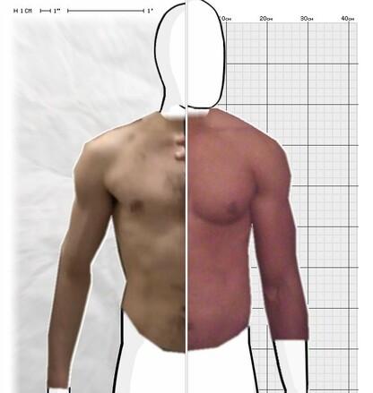 Torso Comparison