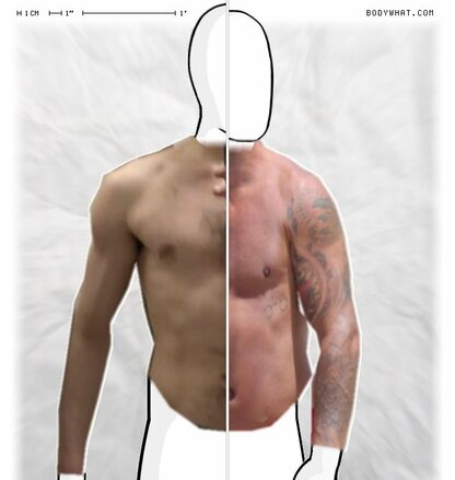 Torso Comparison