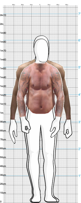 Full Size Comparison