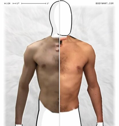 Torso Comparison