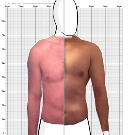 Torso Comparison