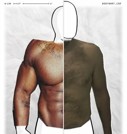 Torso Comparison