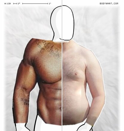 Torso Comparison