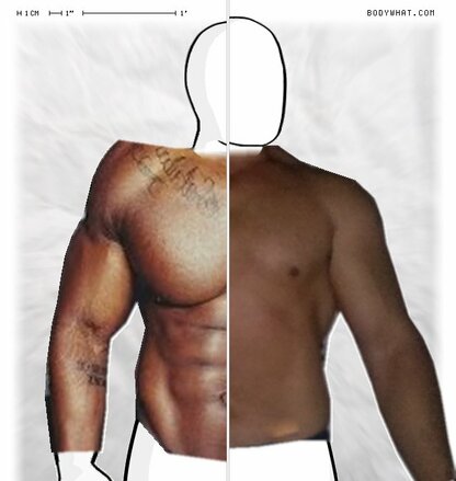 Torso Comparison