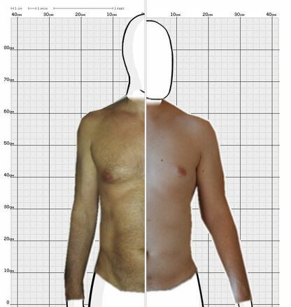 Torso Comparison