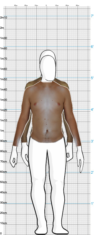 Full Size Comparison