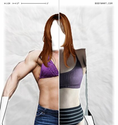 Torso Comparison