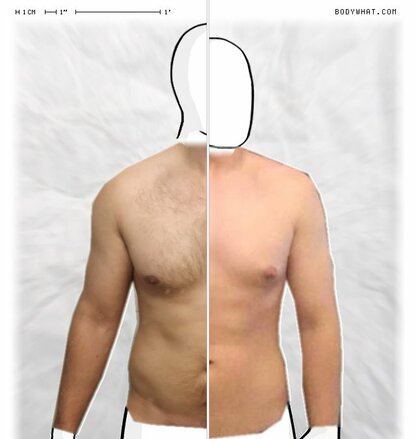 Torso Comparison