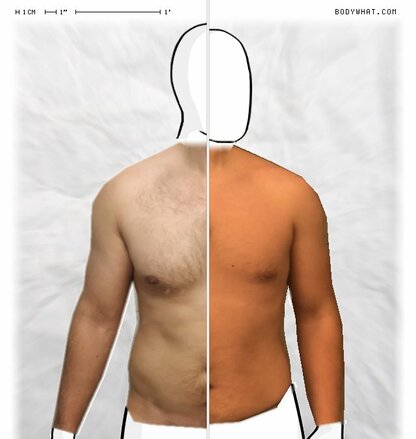 Torso Comparison