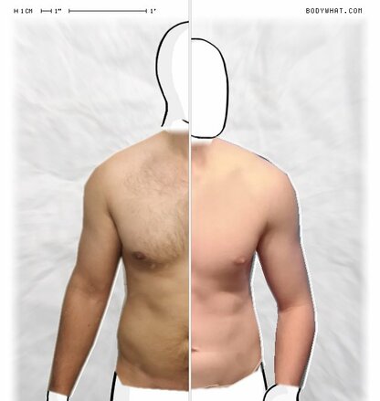 Torso Comparison