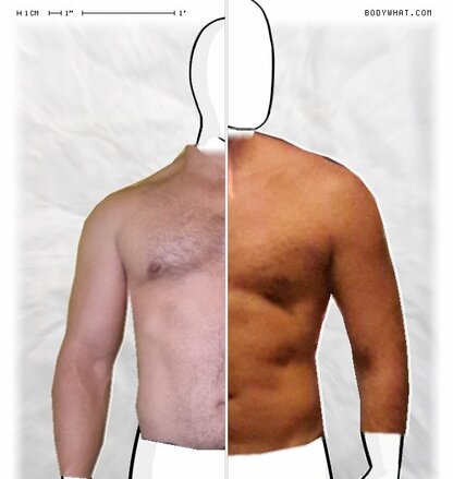 Torso Comparison
