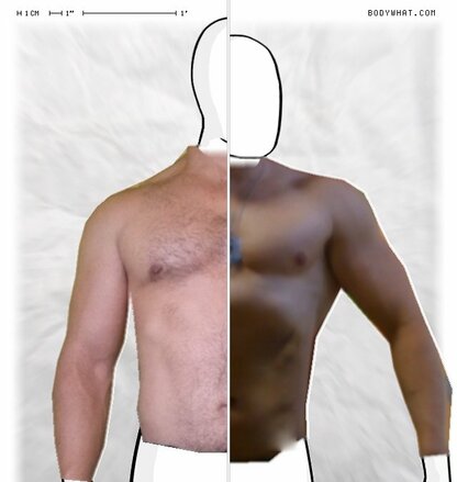 Torso Comparison