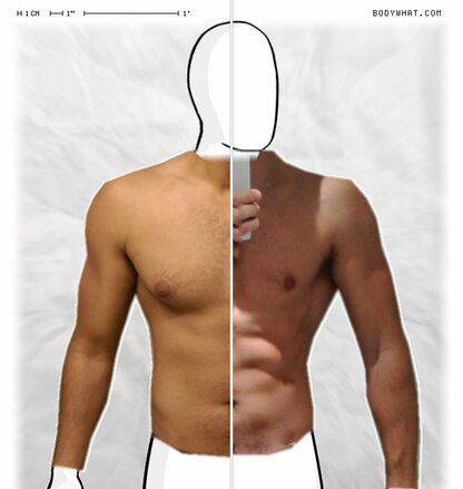 Torso Comparison