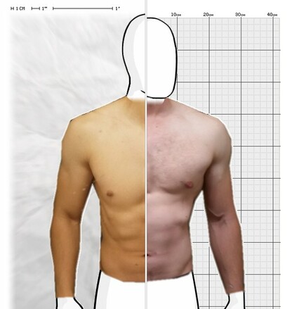 Torso Comparison