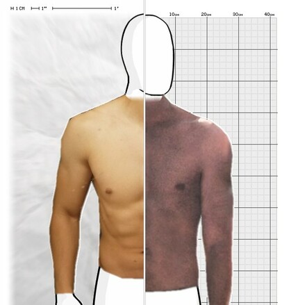 Torso Comparison