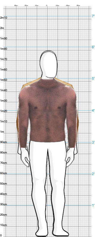 Full Size Comparison