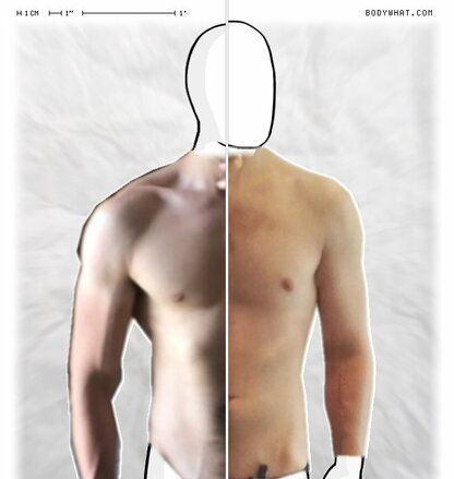 Torso Comparison