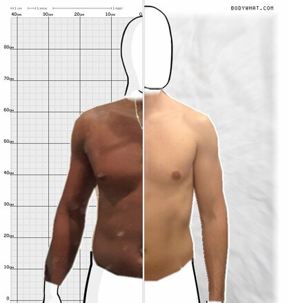 Torso Comparison