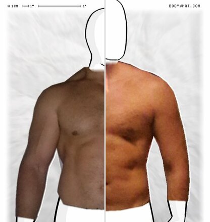 Torso Comparison