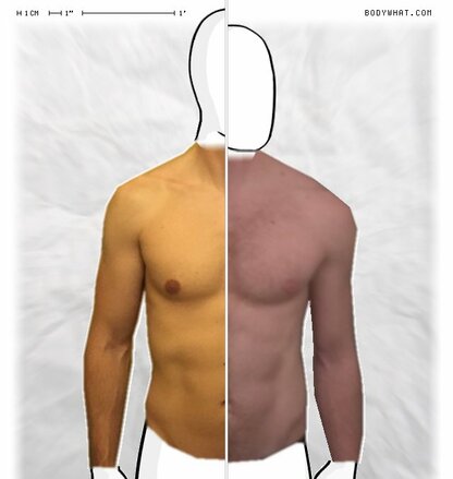 Torso Comparison