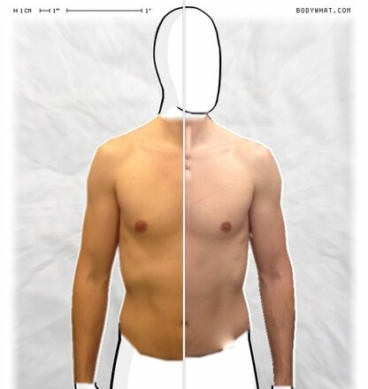 Torso Comparison