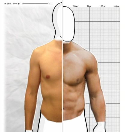 Torso Comparison