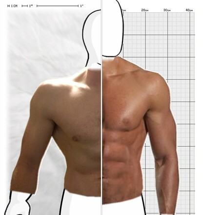 Torso Comparison