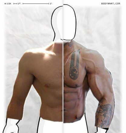 Torso Comparison