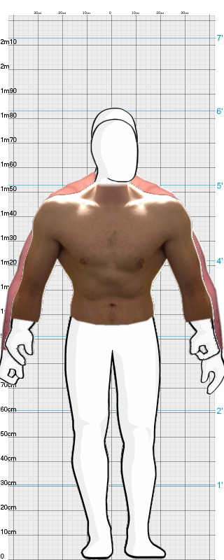 Full Size Comparison