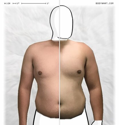 Torso Comparison