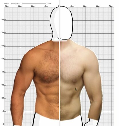 Torso Comparison