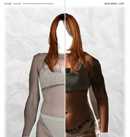 Torso Comparison