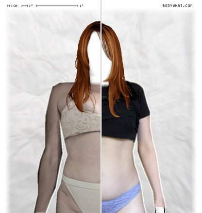 Torso Comparison