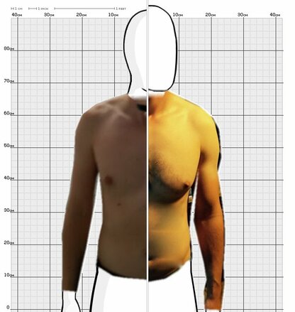 Torso Comparison