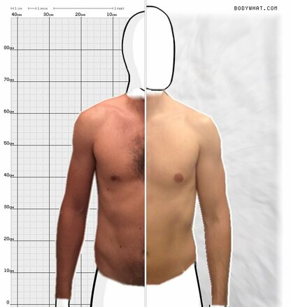 Torso Comparison