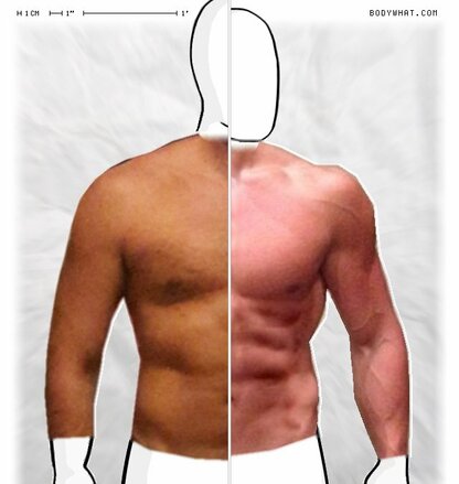 Torso Comparison