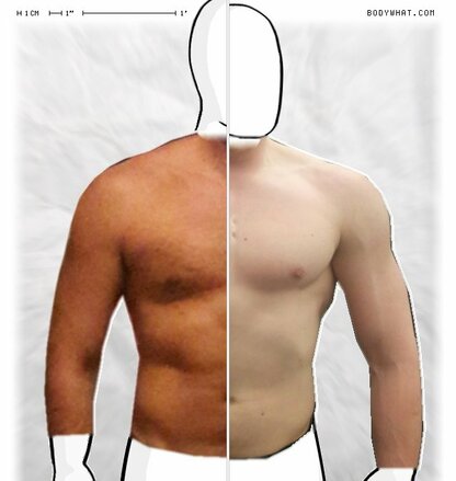 Torso Comparison