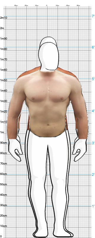 Full Size Comparison